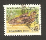 Stamps Sri Lanka -  pez malpulutta kretseri