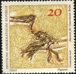 Stamps : Europe : Germany :  Fósil Flugsaurier Pterodactylus Kochi. Museo de historia natural de Berlín.