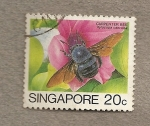 Stamps Singapore -  Abeja carpintera