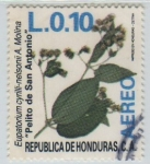 Stamps Honduras -  Eupatorium cyrilli-nelsonii