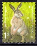 Stamps : Europe : Bosnia_Herzegovina :  Conejo
