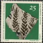 Stamps : Europe : Germany :  Fósil Permischer Farn Botryopteris. Museo de historia natural de Berlín.