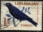 Stamps Uruguay -  Aves autóctonas. Tordo.