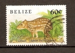 Stamps : America : Belize :  GIBNUT
