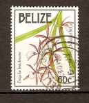 Stamps Belize -  GONGORA   QUINQUENERVIS