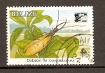 Stamps Belize -  DOBSON  FLY