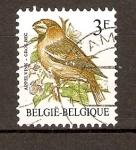 Stamps : Europe : Belgium :  GROS   BEC