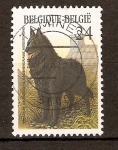 Stamps : Europe : Belgium :  PERRO   PASTOR