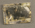 Stamps Sri Lanka -  Elefantes huéfanos