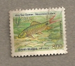 Stamps Sri Lanka -  Labeo de montaña