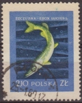 Sellos de Europa - Polonia -  Polonia 1958 Scott 812 Sello Fauna Peces Pike Usado Polska Poland Polen Pologne 