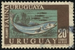 Stamps Uruguay -  Fauna ictícola uruguaya. PEJERREY.