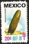 Stamps Mexico -  FEROCACTUS DIGUETII