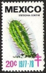 Stamps Mexico -  STETSONIA CORYNE