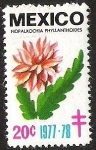Stamps : America : Mexico :  NOPALXOCHIA PHYLLANTHOIDES