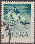 Sellos de Europa - Polonia -  Polonia 1958 Scott 838 Sello Equitacion Usado Polska Poland Polen Pologne