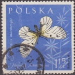 Sellos de Europa - Polonia -  Polonia 1961 Scott 1035 Sello Fauna Insectos La Blanca Aso Parnassius mnemosyne Usado Polska Poland 