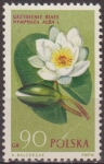 Stamps Poland -  Polonia 1962 Scott 1070 Sello Flora Flor Nenufar Blanco Nymphaea Alba Usado Polska Poland Polen