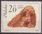 Stamps Poland -  Polonia 1963 Scott 1115 Sello Nuevo Fauna Perros Cocker Spaniel Polska Poland Polen Pologne 