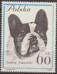 Stamps Poland -  Polonia 1963 Scott 1119 Sello Nuevo Fauna Perros Bulldog Frances Polska Poland Polen Pologne 