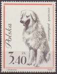 Sellos de Europa - Polonia -  Polonia 1963 Scott 1122 Sello Nuevo Fauna Perros Pastor de las Islas ShetlandSheep Dog Polska Poland