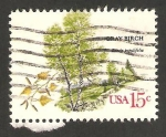 Sellos de America - Estados Unidos -  árbol betula populifolia