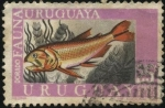 Stamps Uruguay -  Fauna ictícola. Pez de agua dulce DORADO.