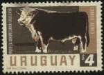 Sellos de America - Uruguay -  Riqueza agropecuaria uruguaya. Raza Hereford.