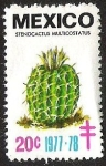Stamps Mexico -  STENOCACTUS MULTICOSTATUS
