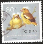Stamps Poland -  C. COCCO THRAUSTER, PULLI. GRUBODZIOB