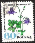 Stamps Poland -  AQUILEGIA VULGARIS L.