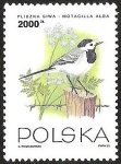 Stamps Poland -   PLISZA SIWA - MOTACILLA ALBA