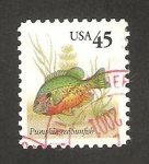 Stamps United States -  pez arco iris