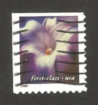 Stamps United States -  flor lis azul