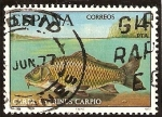 Stamps Spain -  Fauna - Carpa