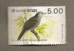 Stamps Asia - Sri Lanka -  Estornino de cabeza blanca