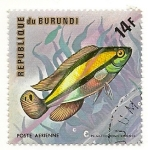 Stamps : Africa : Burundi :  Peces