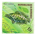 Stamps : Africa : Burundi :  Peces