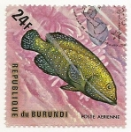 Stamps Burundi -  Peces