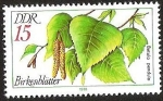 Stamps Germany -  DDR - BETULA PENDULA