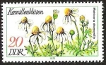 Stamps Germany -  DDR - MATRICARIA CHAMOMILLA