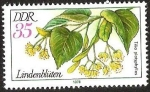 Stamps Germany -  DDR - TILIA PLATYPHYLLOS