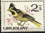 Sellos de America - Uruguay -  Aves autóctonas. Cardenal Amarillo.