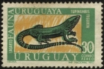 Stamps America - Uruguay -  Fauna uruguaya, el Lagarto. Tupinambis teguixin.