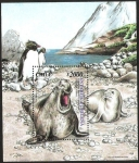 Stamps : America : Chile :  ANTARTICA CHILENA - ELEFANTE MARINO AUSTRAL