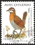 Stamps : America : Chile :  AVES CHILENAS - TURCA