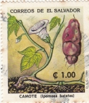 Stamps America - El Salvador -  CAMOTE (Ipomoea batatas)