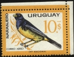Sellos de America - Uruguay -  Aves autóctonas. El Naranjero.
