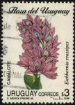 Sellos de America - Uruguay -  Flora de Uruguay. Camalote. Eichhornia crassipes.