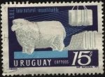 Sellos de America - Uruguay -  Secretariado Uruguayo de la Lana. Lana natural insustituible.